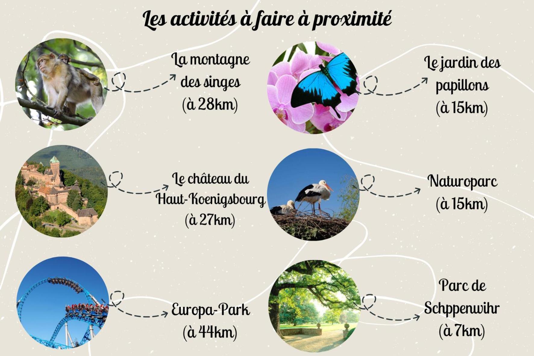 Le Rosacker - Proche Centre Ville Et Gare - Terrasse - Parking Gratuit 2 Places - 2 Chambres - 2 Salles De Bain - Netflix Кольмар Экстерьер фото